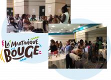 En région l'Atelier échanges PNNS en Martinique